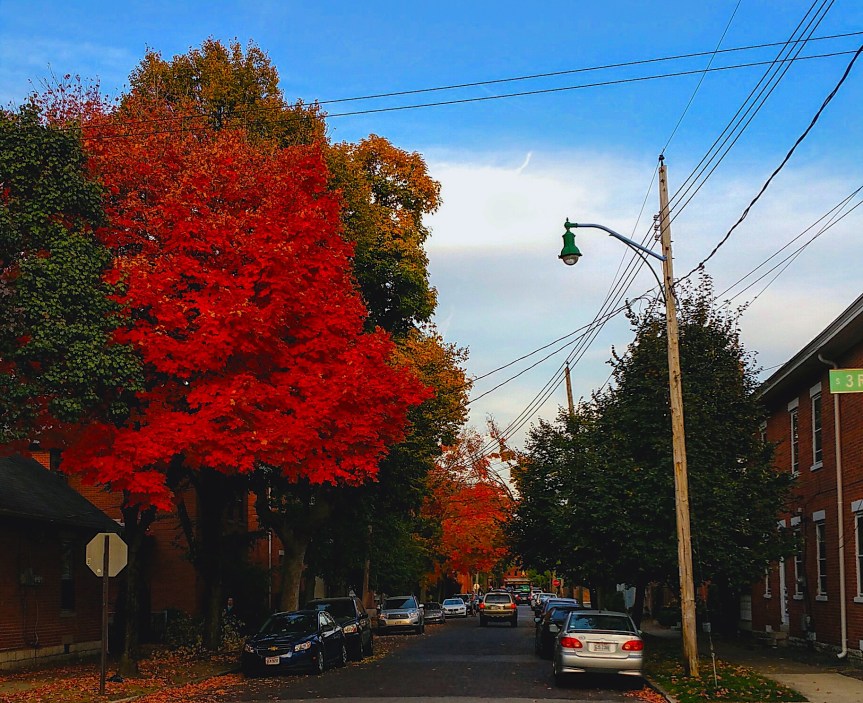 Short Stories: Roister