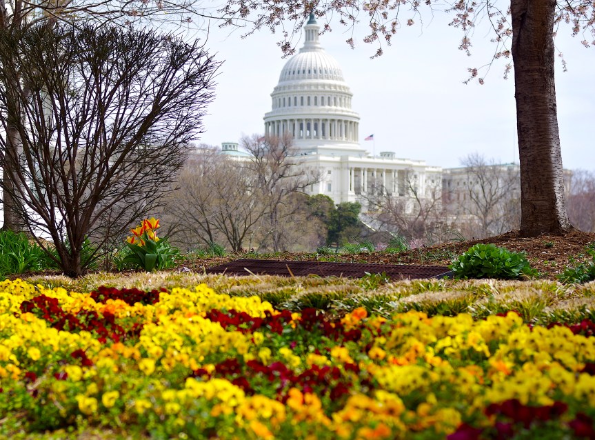 Short Stories: Odious